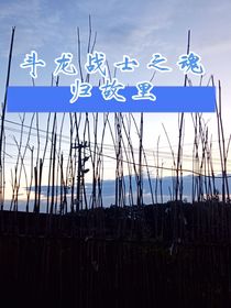 斗龍戰(zhàn)士之魂歸故里
