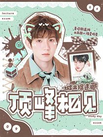 城市捉迷藏：頂峰相見(jiàn)