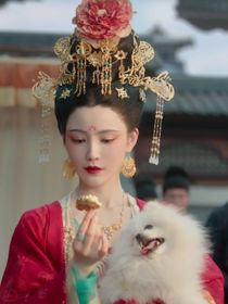 綜穿之看戲日常