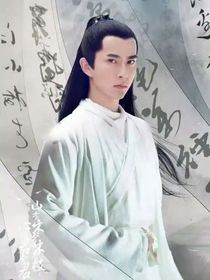 于朦朧之劫：真貞的人間歷劫