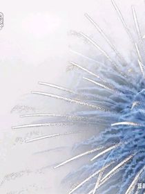 逐浪并肩