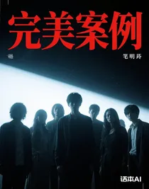 完美案例