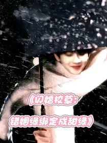 閃婚校草：錯姻緣綁定成甜緣