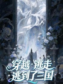 穿越：逃走逃到了三國