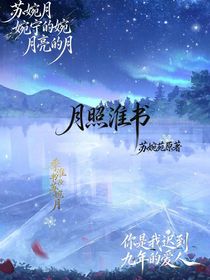 月照淮書