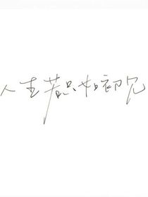 假浪子真情種