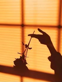 重新定義世界