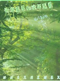 那年盛夏和這年盛夏