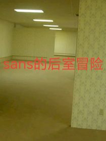 sans的后室冒险
