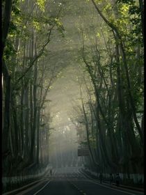瘋批國師和皇上