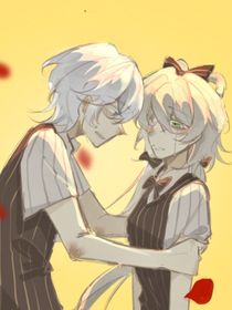 雙向系列