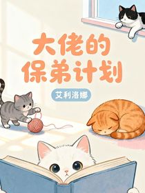 京?。捍罄械谋５苡?jì)劃