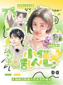 戰(zhàn)至巔峰4：小貓亂人心