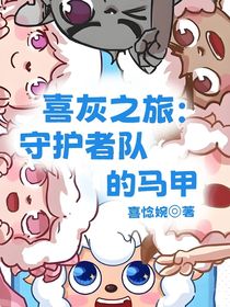 喜灰之旅：守護者隊的馬甲