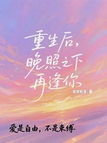 重生后，晚照之下再逢你