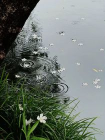 悖律游戲