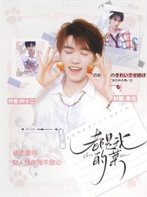 TNT：都是我的菜