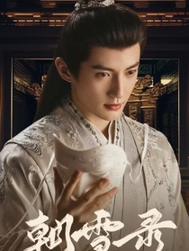 綜影視：我為女配完成心愿