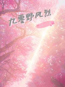 九零野風(fēng)烈