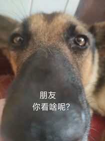 不知道起什么書名的書