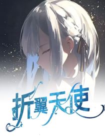 賽爾號(hào)：折翼天使