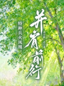 特種兵火鳳凰：并肩前行