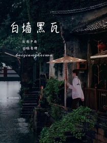 白墻黑瓦-d020