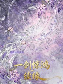 一劍驚鴻續(xù)緣