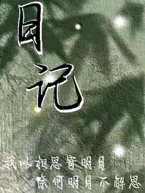 一本名為日記的書