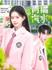 劉耀文：青橘汽水