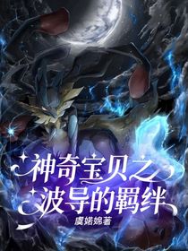 神奇寶貝之波導(dǎo)的羈絆