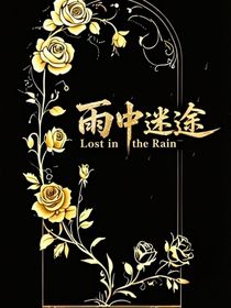 雨夜迷途