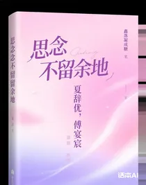 思念不留余地又名：（我的璀璨人生）