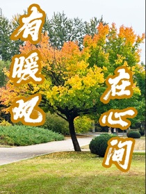有暖風(fēng)在心間