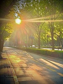 校園趣逝
