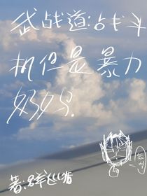 武戰(zhàn)道：戰(zhàn)斗機但是暴力奶媽