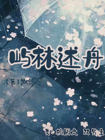 嶼林述舟