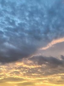 葉羅麗之清風(fēng)亂世