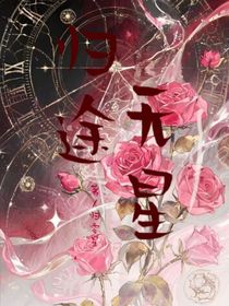 歸途無星