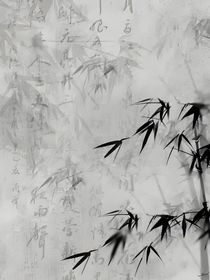 人間若有微光