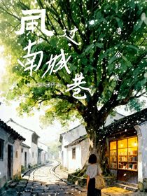 風(fēng)過(guò)南城巷