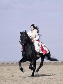 終極筆記阿寧聯(lián)動(dòng)