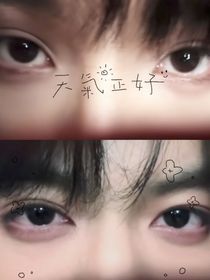 （桂櫓）月光曬干眼淚