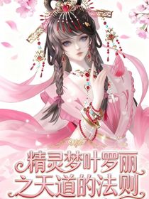 精靈夢葉羅麗之天道的法則