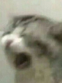 就是個畫畫本而已