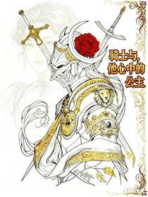 騎士與，他心中的公主