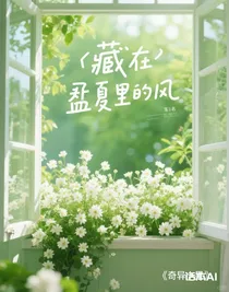 藏在盛夏里的風(fēng)