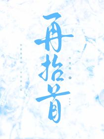 再抬首