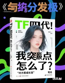 TF四代：我癫点怎么了