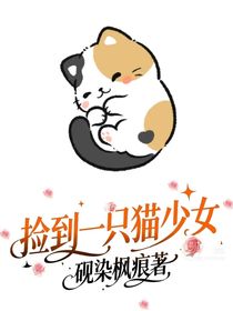 撿到一只貓少女